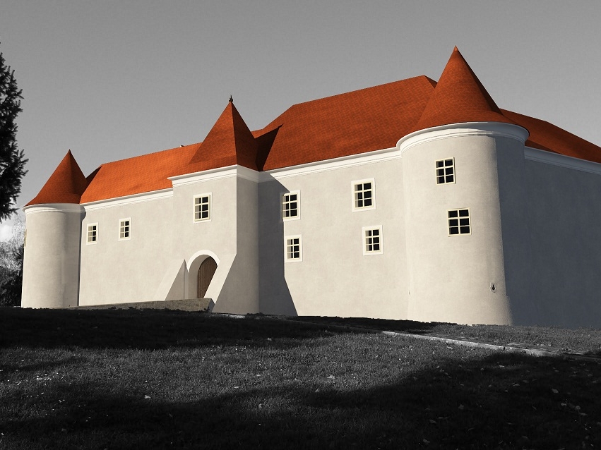 Stari grad Kaptol, podatci o projektu